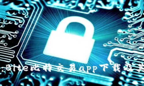 深入探讨：Bite比特交易app下载及其功能解析