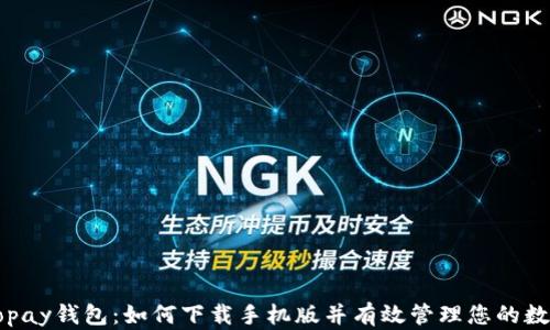 
探索Copay钱包：如何下载手机版并有效管理您的数字资产