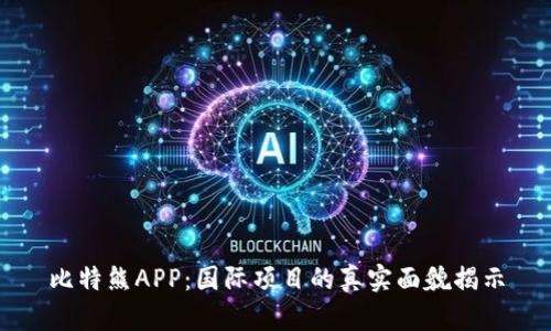 比特熊APP：国际项目的真实面貌揭示