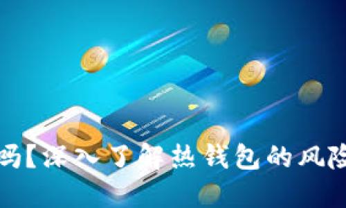 热钱包安全吗？深入了解热钱包的风险与防护措施